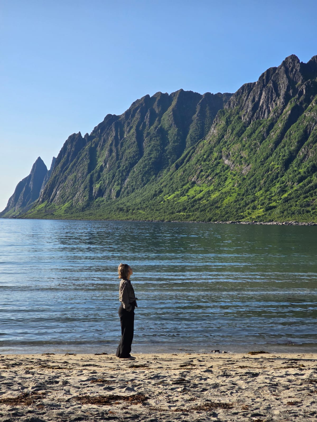 Read more about the article La solitude réparatrice