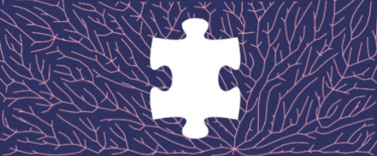 Read more about the article Puzzle et déracinement