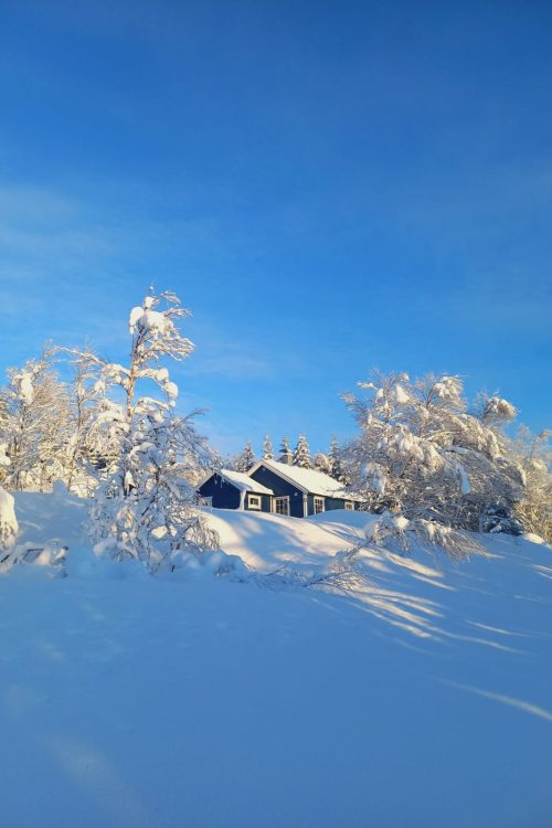 WhatsApp Image 2026-02-11 at 09.22.44