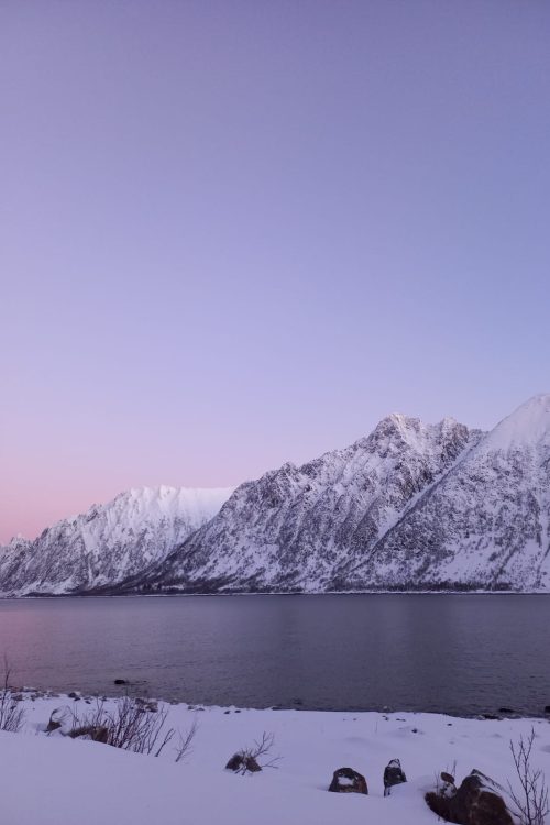 WhatsApp Image 2026-02-11 at 09.23.02