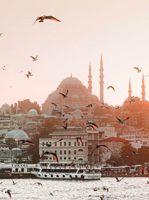 pexels-accankisi-3999943