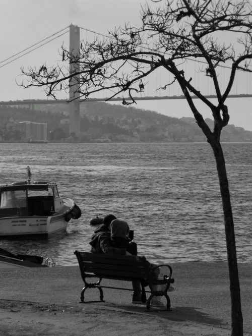 pexels-afitab-152665775-15085009