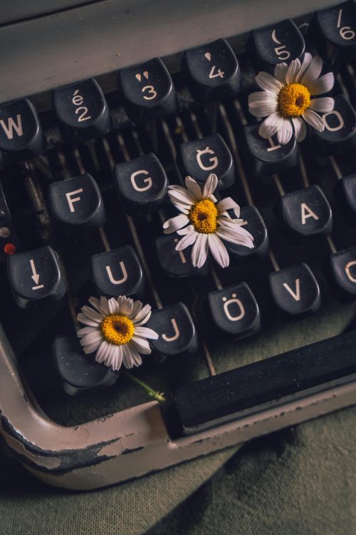 pexels-helloaesthe-17233344