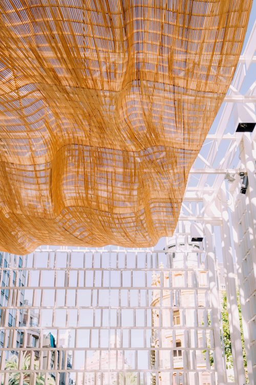 pexels-jcosta-13447267